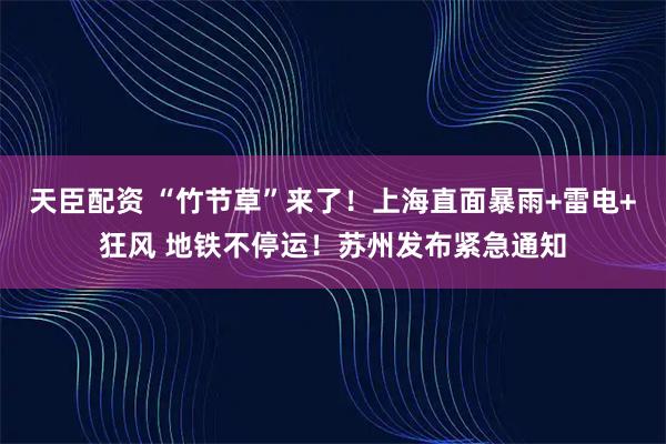 天臣配资 “竹节草”来了！上海直面暴雨+雷电+狂风 地铁不停运！苏州发布紧急通知