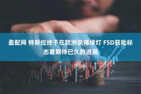 盈配网 特斯拉终于在欧洲获得绿灯 FSD获批标志着期待已久的进展